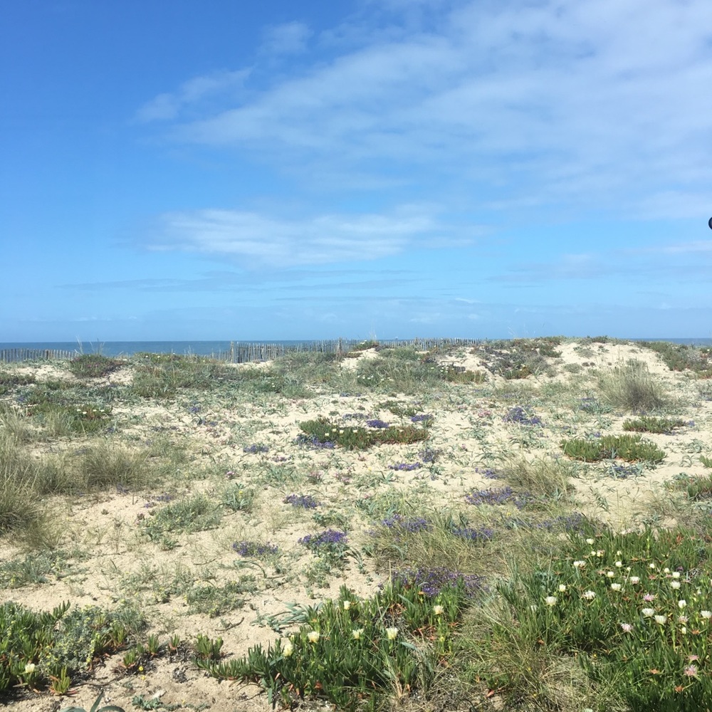 Meet your Posher, Brenda